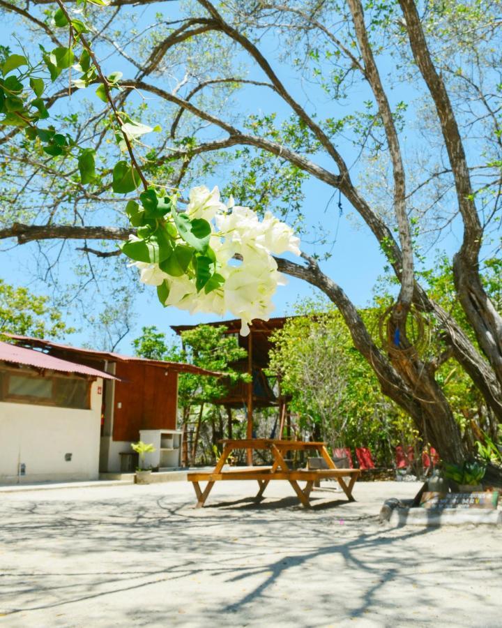 Skycamp Camping Holbox Exteriör bild